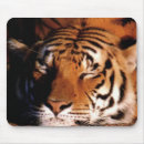 Suche nach wildtiere mousepads Tierwelt