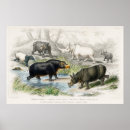 Suche nach tapir poster Tier