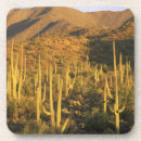 Suche nach tucson untersetzer Kaktus