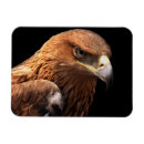 Suche nach clip magnete Tier