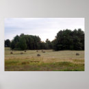 Suche nach nature photography poster Trees