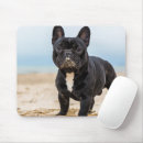 Suche nach franziskaner mousepads Niedliche tiere