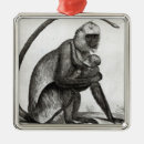 Suche nach brasilianische ornamente Schule