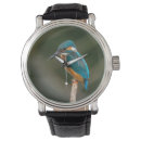 Suche nach eisvogel accessoires Eisvögel