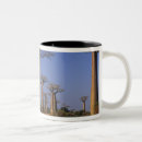 Suche nach baobab tassen Landschaft