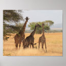 Suche nach mutter und sohn poster Für ihn