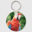 Suche nach ara schlüsselanhänger Vogelvogel