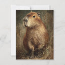 Suche nach capybara postkarten Tierwelt