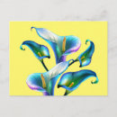 Suche nach calla lilie postkarten Elegant