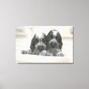 Suche nach wanne poster Zuhause