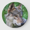 Suche nach wildtiere wanduhren Grauwolf