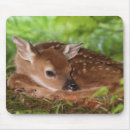 Suche nach zwei tiere mousepads Süß