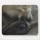 Suche nach schläfrig mousepads Tiere