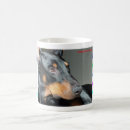 Suche nach dobermann pinscher tassen Welpe