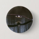 Suche nach adler buttons Tierwelt