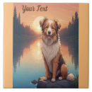 Suche nach collie fliesen Haustier