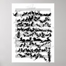 Suche nach symphonie poster Sinfonie