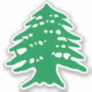 Suche nach zedernbaum Grün
