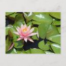 Suche nach rosa lilien postkarten Blumig