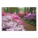 Suche nach callaway gärten poster Flora