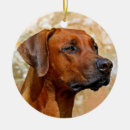 Suche nach rhodesian ridgeback ornamente Haustier