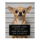 Suche nach lustige polizei poster Mugshot
