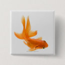 Suche nach voll buttons Orange