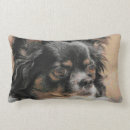 Suche nach langes haar kissen Haustier