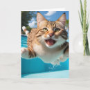 Suche nach lustige katzen karten Katzenliebhaber