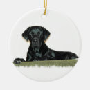 Suche nach schwarzer labrador ornamente Schwarzes labrador retriever