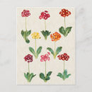 Suche nach primel postkarten Aquarell