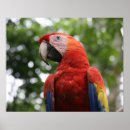 Suche nach parkett poster Ara