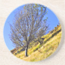 Suche nach hang untersetzer Natur
