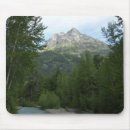 Suche nach wildnis mousepads Baum