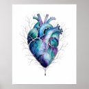 Suche nach anatomisch poster Menschlich