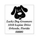 Suche nach hundegroomer Hündchen