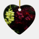 Suche nach bunte blumen ornamente Tropisch