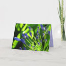Suche nach wolken karten Blumen
