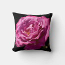 Suche nach zu nah kissen Rose