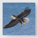 Suche nach flüge wanduhren Vögel
