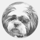 Suche nach shih tzu aufkleber Niedlich
