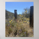 Suche nach gelbe blume poster Wildblumen
