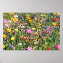 Suche nach frühjahr poster Wiese