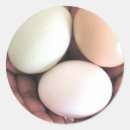 Suche nach eier aufkleber Fotografie