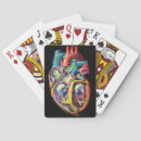 Suche nach anatomie spielkarten Biologie