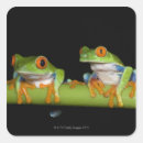Suche nach roter frosch aufkleber Amphibie