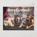 Suche nach lustiges kostüm postkarten Hunde