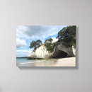 Suche nach coromandel Koromandel