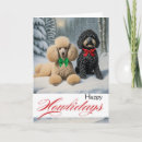 Suche nach schnoodle karten Poodle