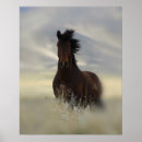 Suche nach mustang poster Equine